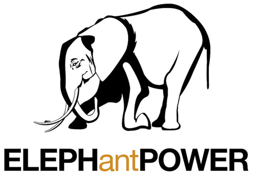 ELEPHantPOWER At-Home Classes with Vince Poscente